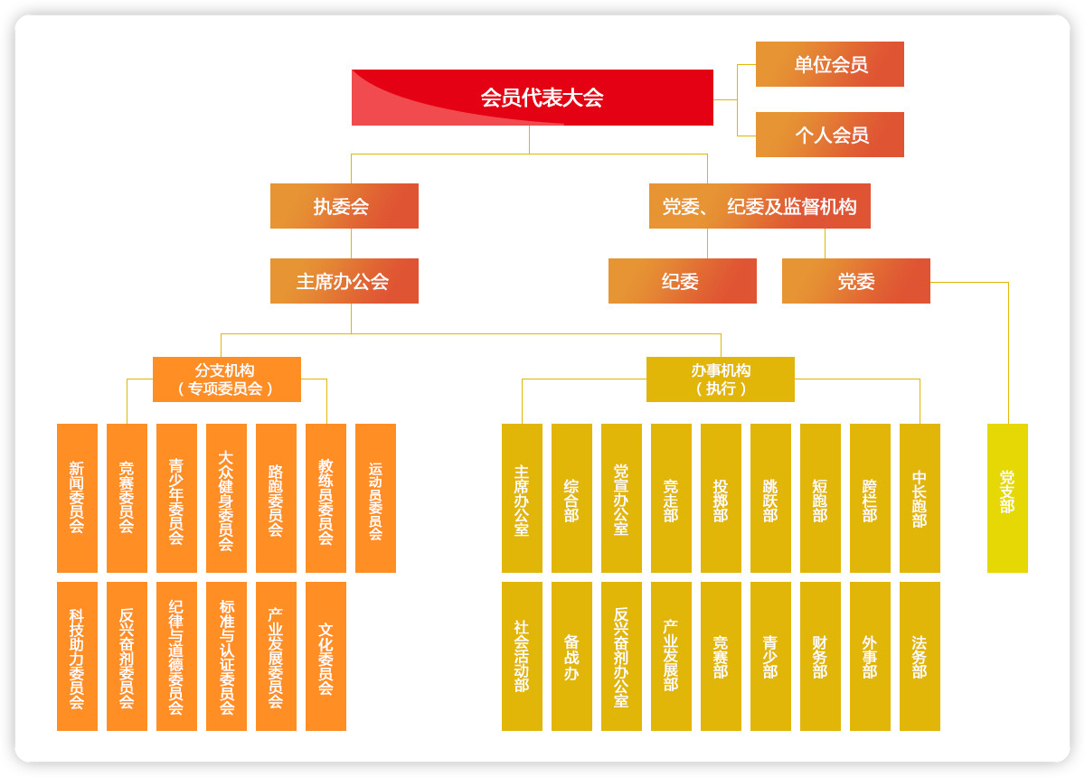 组织架构